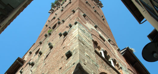 Torre Guinigi