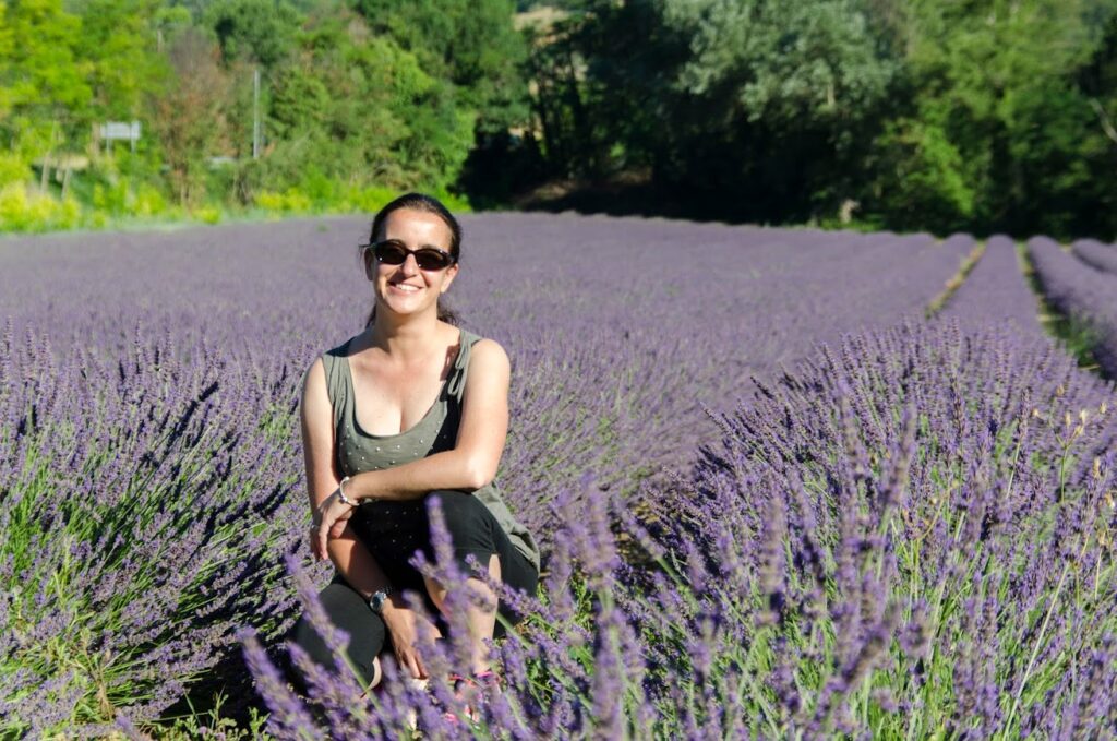 Valensole lavanda Provenza 2016