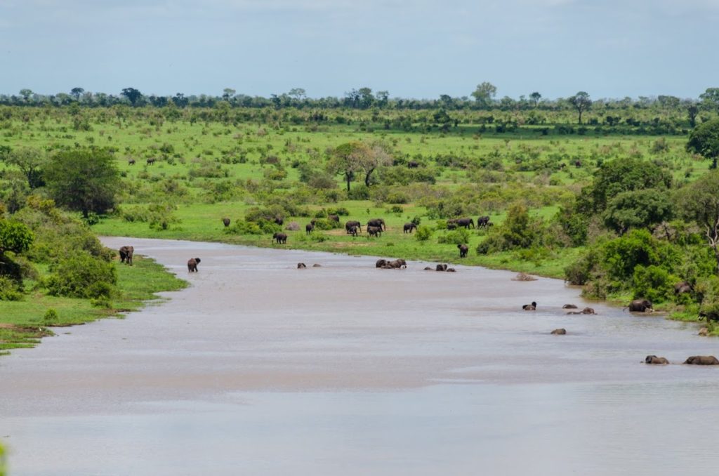 Sudafrica - Parco Kruger