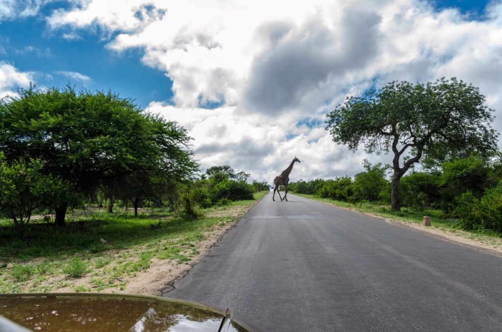 Kruger National Park