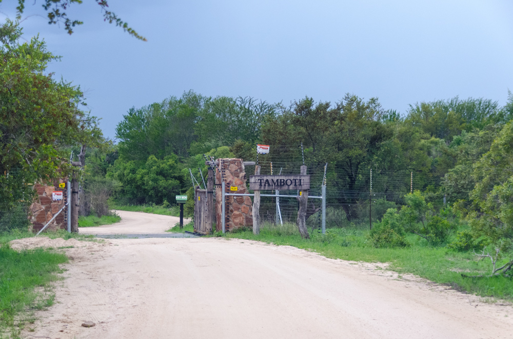 Ingresso di Tamboti