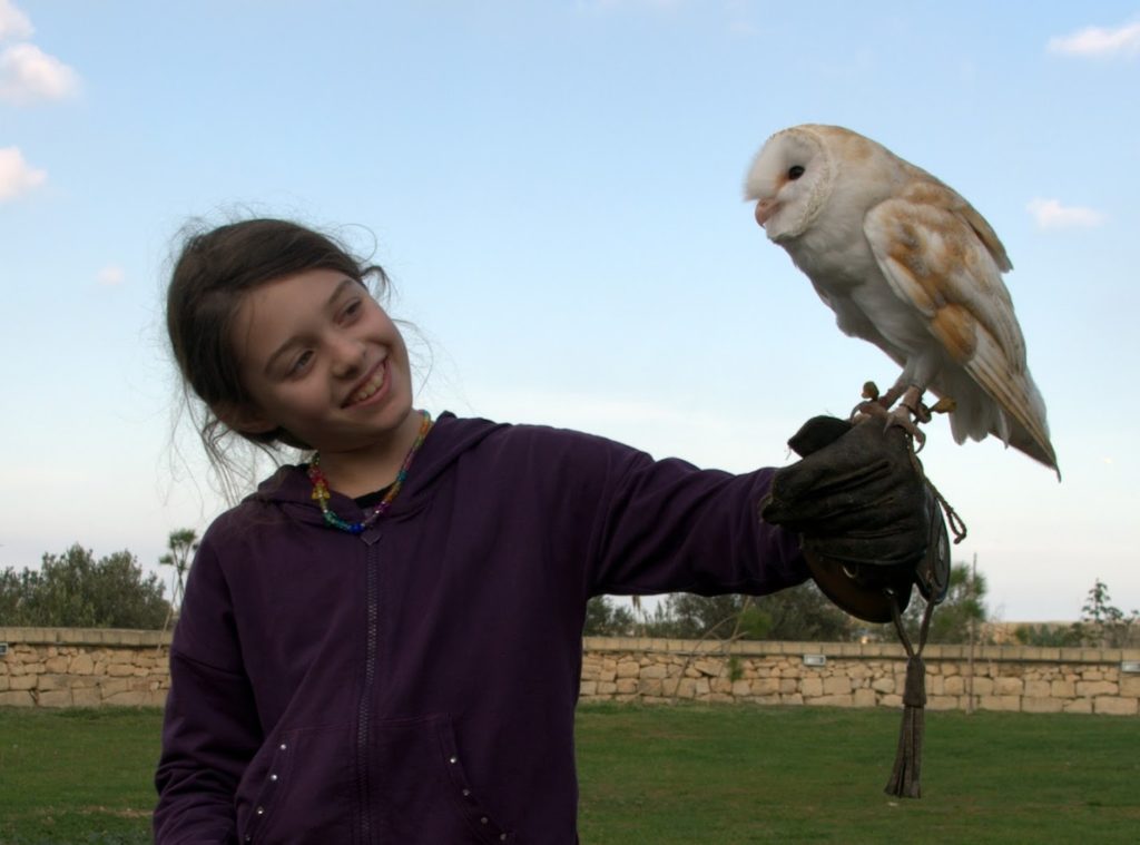 Malta Falconry Centre