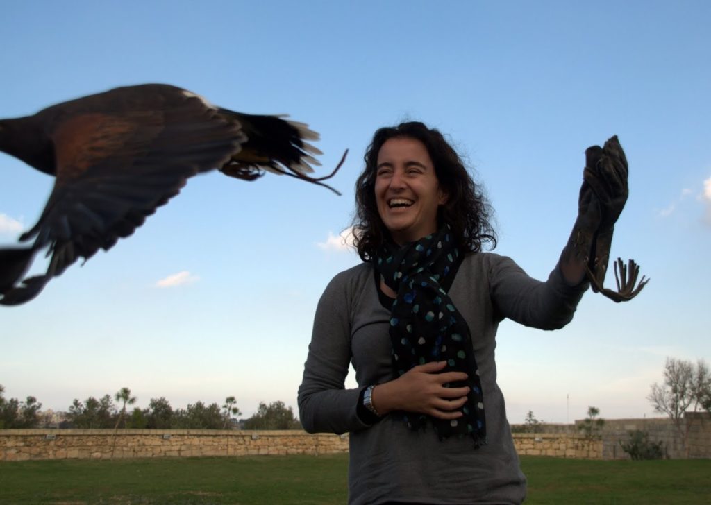 Malta Falconry Centre