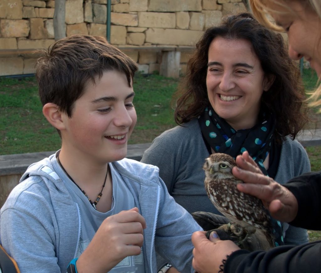 Malta Falconry Centre