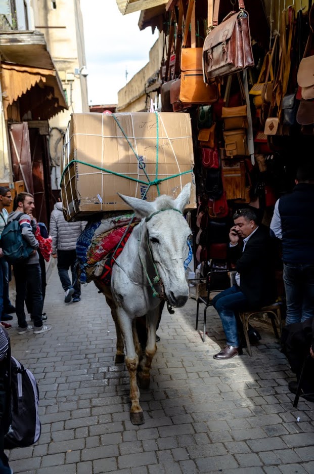 Medina di Fes