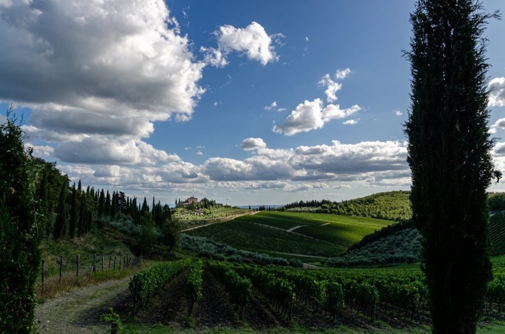 Radda in Chianti - Panorama