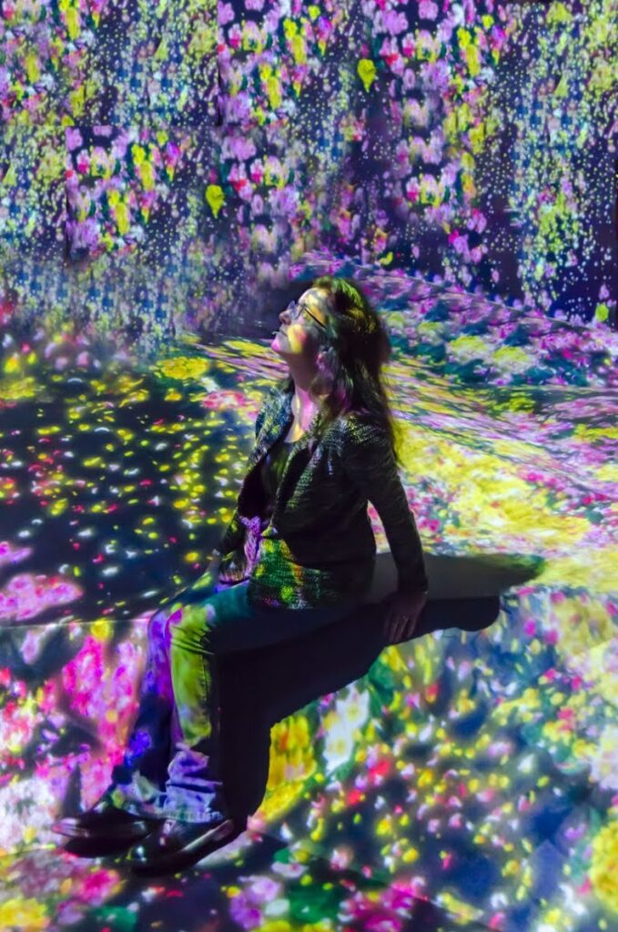 TeamLab Borderless Tokyo