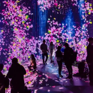 TeamLab Borderless Tokyo