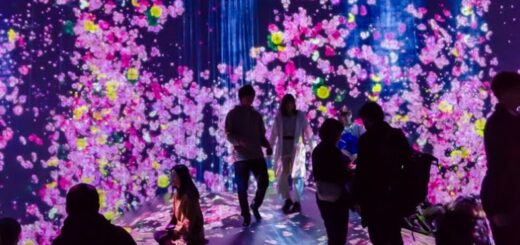 TeamLab Borderless Tokyo