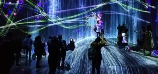 TeamLab Borderless Tokyo