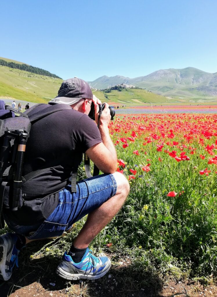 Fioritura di Castelluccio di Norcia 2020