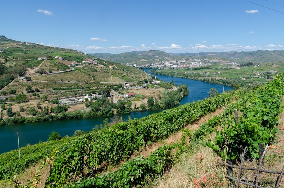 Valle del Douro - I vigneti di Porto