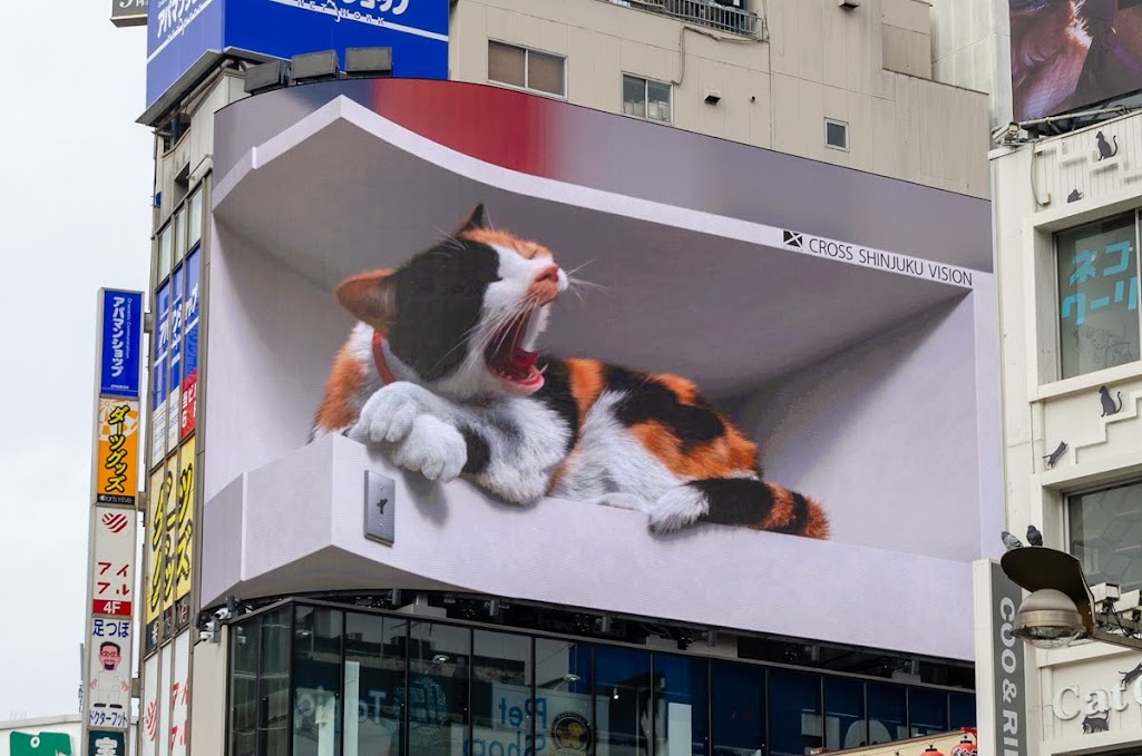 Tokyo - Il gatto di Shinjuku
