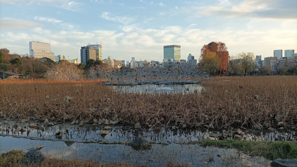 Zoo di Ueno