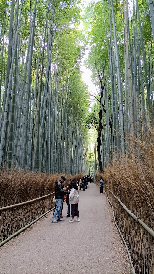 Arashiyama