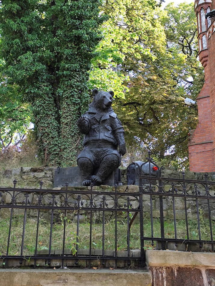 Orso Wojtek Sopot Montecassino